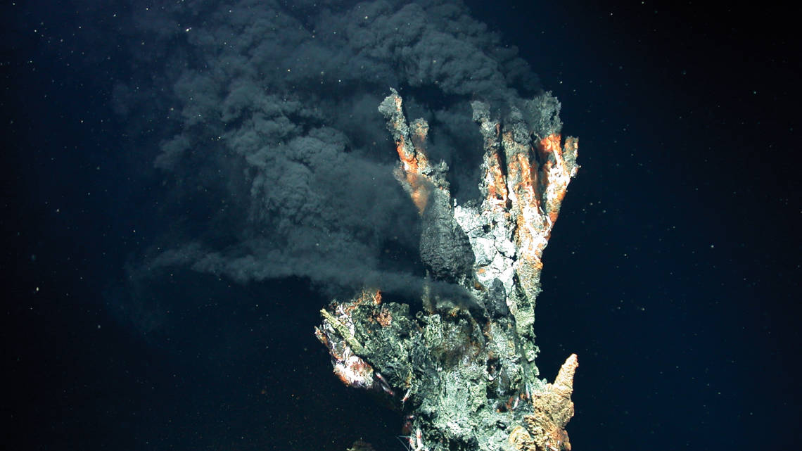 Sogenannte Schwarze Raucher, unterseeische Vulkanschlote, könnten die Entstehungsorte früher Mikroorganismen wie dem Thermoanaerobacter kivui gewesen sein.