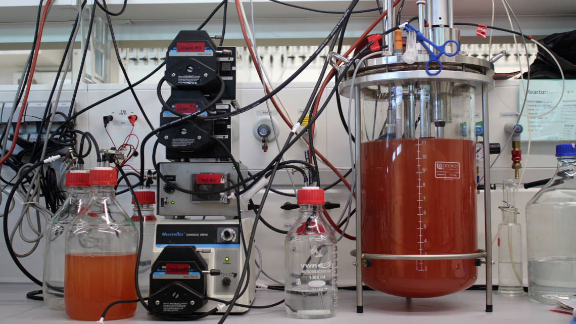 Rechts sieht man einen der Bioreaktoren, mit denen Kartal und seine Gruppe das Bakterium K. stuttgartiensis im Labor züchteten.