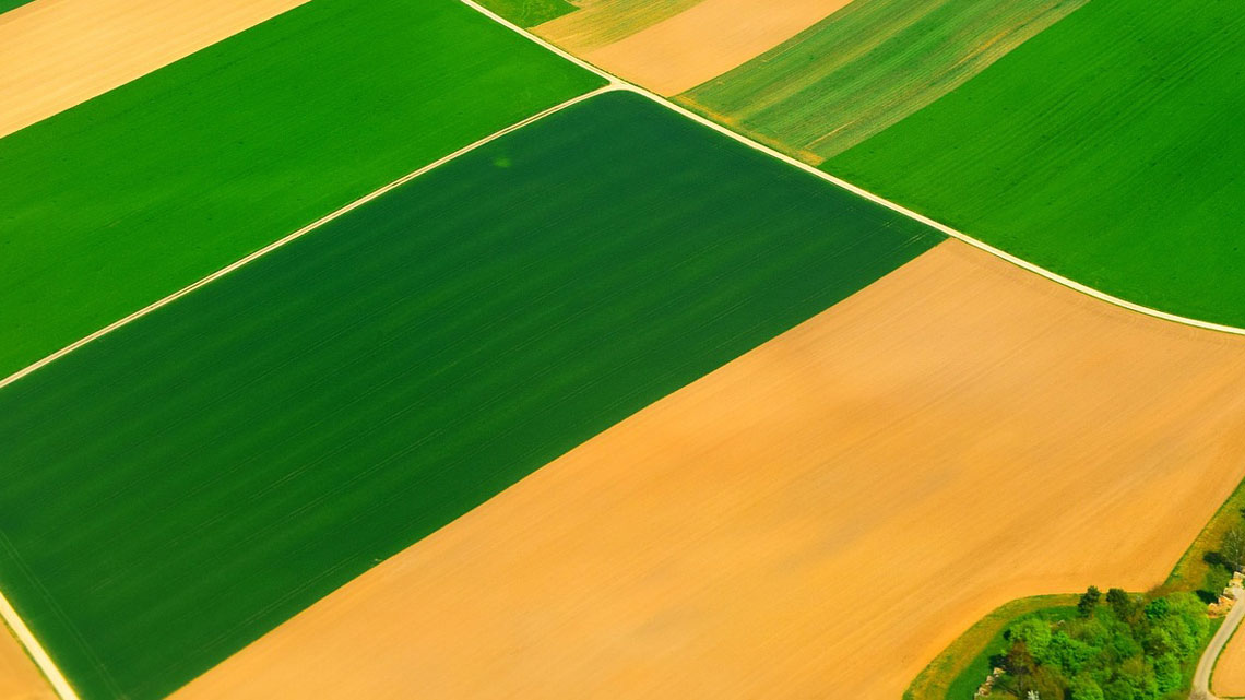 Ackerbau-intensive landwirtschaft