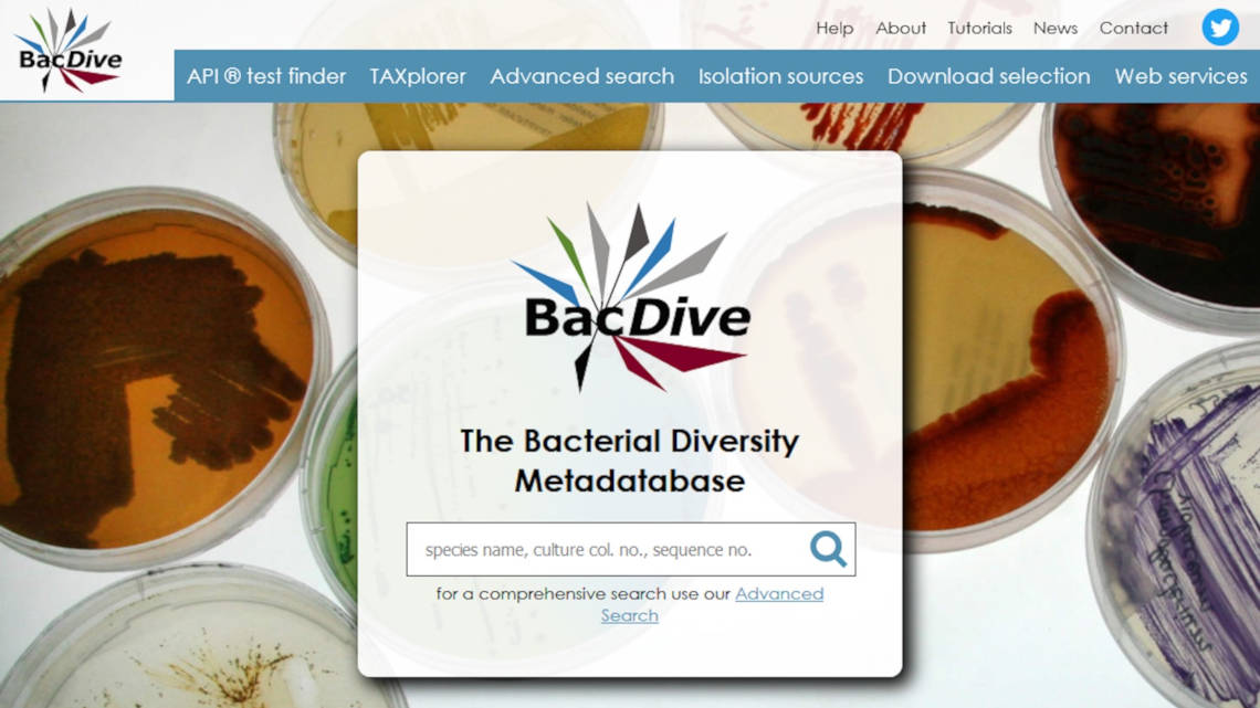 So sieht die Startseite der Online-Datenbank "BacDive" aus.