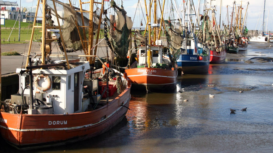 Die wachsende Nachfrage nach Fisch und Meeresfrüchten gefährdet die weltweiten Bestände, viele Meere sind überfischt. 