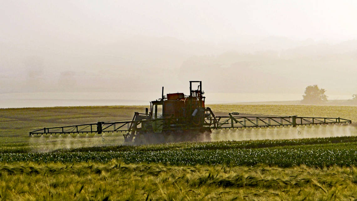 Der Einsatz von Pestiziden in der Landwirtschaft führt auch zu Rückständen auf Lebensmitteln.
