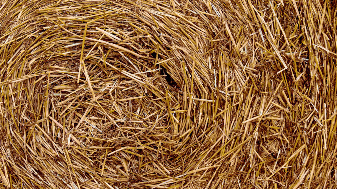 Cellulose-Ethanol kann aus Weizen- oder Maisstroh hergestellt werden.