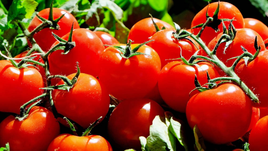 Wie muss eine Tomate beschaffen sein, damit sie bei Verbraucherinnen und Verbrauchern gut ankommt?