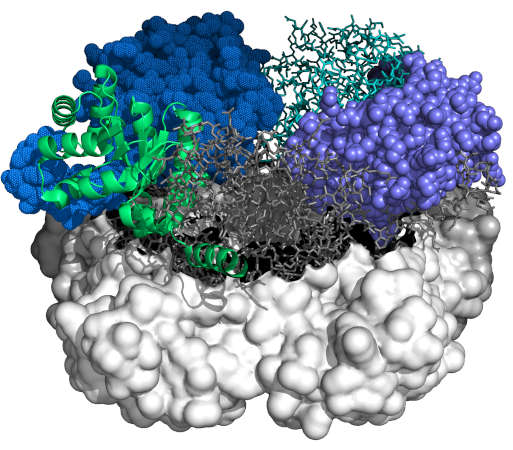 Analyse der Zusammenhänge zwischen Struktur und Funktion beim Enzym Aldolase.