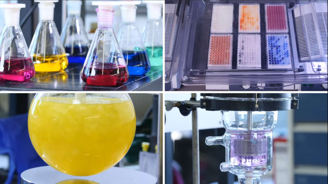 Das Biokatalysator-Screening führt zu neuartigen Reaktionen, mit denen wertvolle chirale Produkte und Vorstufen für Massenchemikalien gewonnen werden können. 
