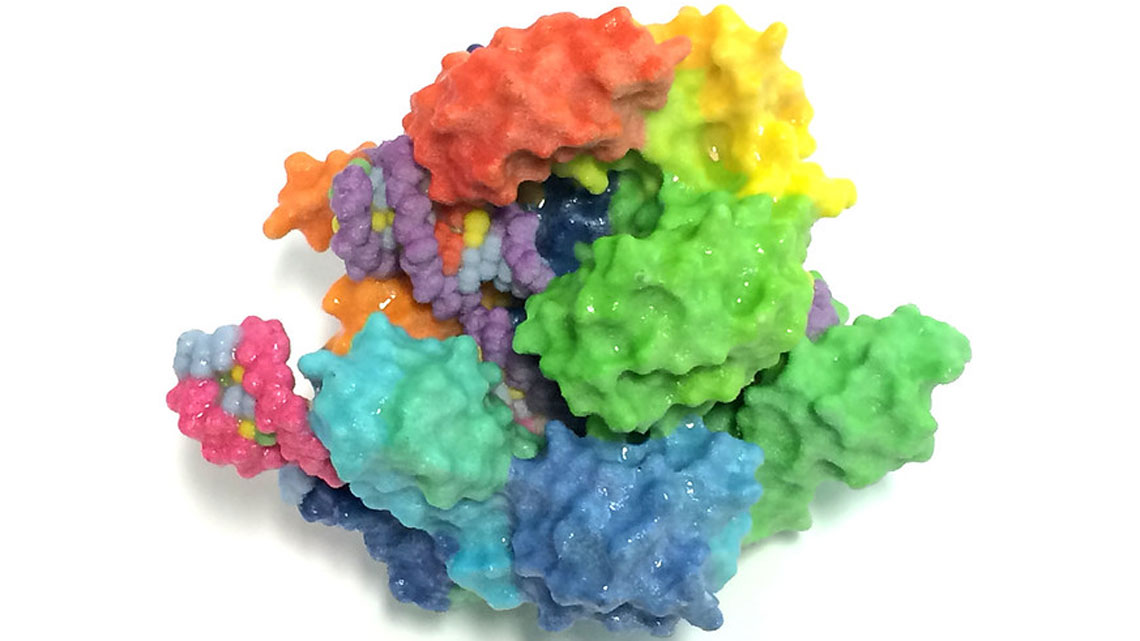 Cas9-3D-Model