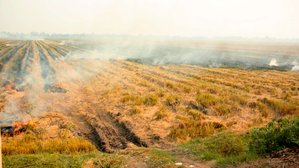 Brennende Reisfelder in Vietnam belasten das Klima und verschwenden den Rohstoff Siliziumdioxid.