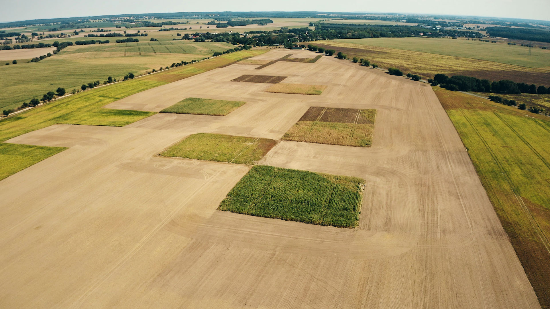 Tempelberger Versuchsfelder Agrarforschung Versuchsfelder Landnutzung Nachhaltigkeit digitale Landwirtschaft