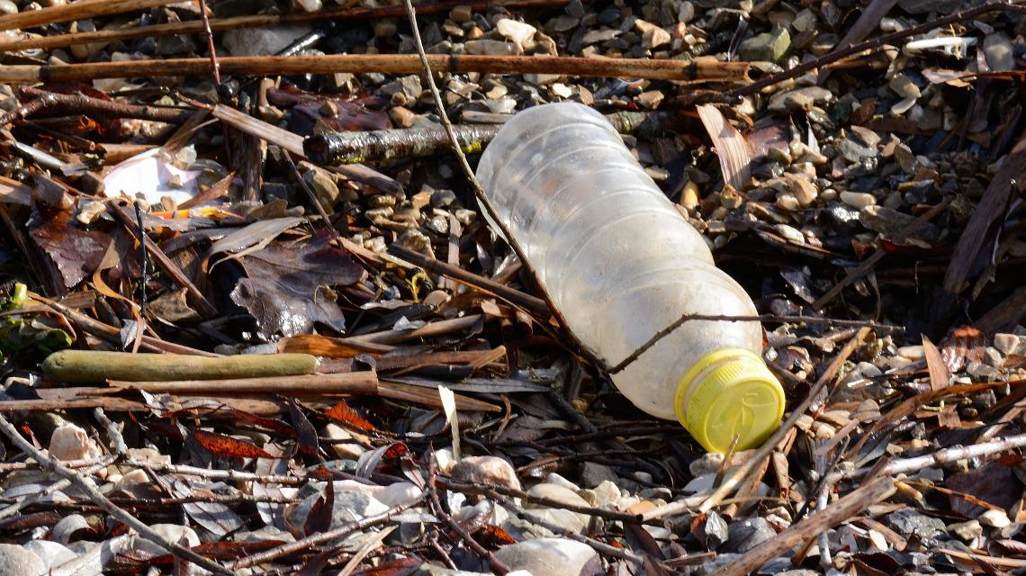 Viele Bakterien fressen Plastik