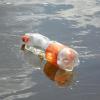 Im Fluss treibende PET-Flasche