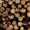 Holzstapel
