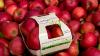 Die roten Äpfel werden Der Selstar® wird umweltschonend in einer natürlichen Kartonschale ohne Plastik verpackt.