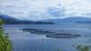 Lachs-Aquakultur in Norwegen