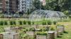 Urban farming