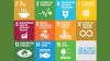 11 SDGs und Bioökonomie