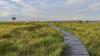Hochmoor Hohe Venn