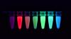 Biosensoren können Produktmoleküle detektieren und dabei leicht auszulesende, fluoreszente Signale in verschiedenen Farben ausgeben