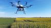 Drohnen könnten im Pflanzenschutz unterstützen, Pflanzenschutzmittel zielgerichtet auszubringen.