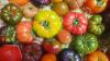 Tomaten