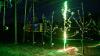 Der Würzburger 3D-Laserscanner scannt einen Apfelbaum bei Nacht.