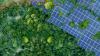 Wald mit Solar