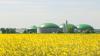 Biogasanlage