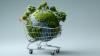 Eine Erdkugel im Einkaufswagen (Symbolbild).