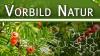 Die App "Vorbild Natur" zeigt die Vielfalt der Naturstoffe und deren kommerzielle Nutzung und stellte neue Forschungsergebnisse sowie Zukunftsvisionen dar. Die App "Vorbild Natur" zeigt die Vielfalt der Naturstoffe und deren kommerzielle Nutzung und stellte neue Forschungsergebnisse sowie Zukunftsvisionen dar.