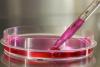Pipette