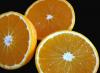organgenschalen Citrus-Albedo