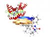 Bio- und Chemokatalyse Bio- und Chemokatalyse