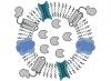 Membrankapseln mit Enzymen Membrankapseln mit Enzymen