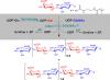 Enzyme Enzyme