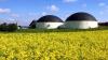 Biogasanlage im Rapsfeld