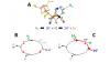 Reaktionsmechanismus der Herstellung von Wasserstoff durch Enzyme