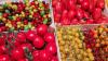 Tomaten gibt es in beeindruckender Vielfalt. Viele der erhältlichen Sorten entstanden durch Smart Breeding. Tomaten gibt es in beeindruckender Vielfalt. Viele der erhältlichen Sorten entstanden durch Smart Breeding.