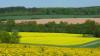 Landschaft in Südniedersachsen. Mit welchen Fruchtfolgen werden die Felder bestellt?