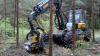 Holzvollernter sind komplex zu bedienende Maschinen. Eine neue Software soll Nutzer dabei unterstützen.