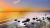 In Sedimenten der Ostsee haben Tübinger Forscher eine bislang unbekannte chemische Quelle des Treibhausgases Lachgas identifiziert.