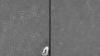 Phasenkontrastbild von P. denitrificans (40x), links ohne PHA-Körperchen, rechts mit hellen PHA-Körperchen.