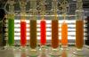 Optimierung der Kultivierung im Labormaßstab: Photobioreaktoren mit T. wisconsinensis vor einer Lichtwand.